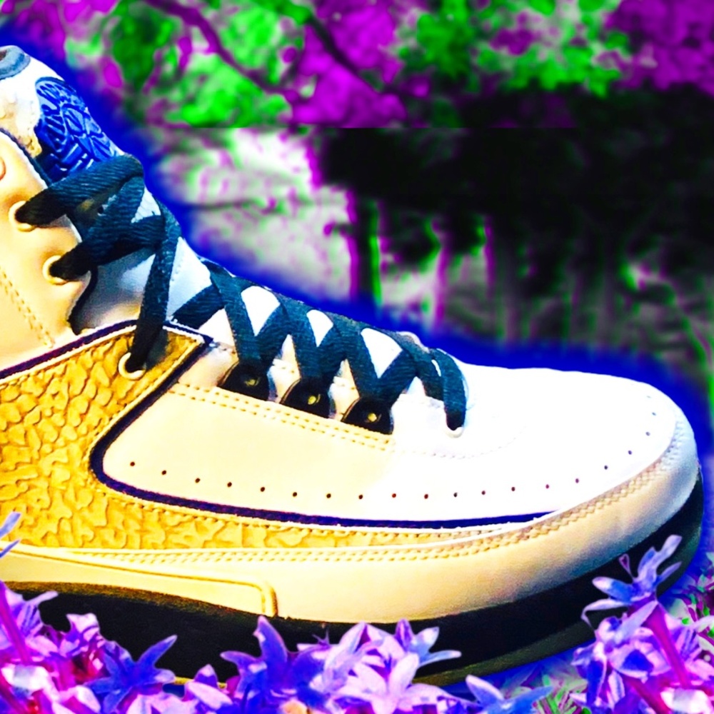 AIR JORDAN 2 (DARK CONCORD) RETRO
